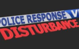 Police Response VR Disturbance Oculus Meta Quest VR game