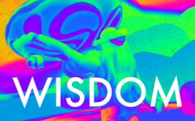 Wisdom VR Oculus Meta Quest all-in-one educational game