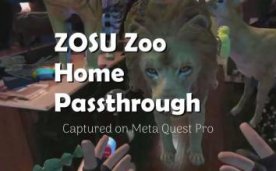 ZOSU Zoo Home Passthrough Oculus Meta Quest VR game