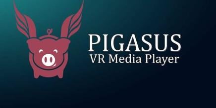 Pigasus VR Media Player VR Oculus Meta Quest all-in-one app<span class="mi-jiaobiao" style="background-color: #7d05a8;">Media Player Free</span>