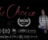 The Choice VR Oculus Meta Quest story game<span class="mi-jiaobiao" style="background-color: #006b07;">Story Free</span>