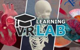 VR Anatomy Lab Oculus Meta Quest VR game
