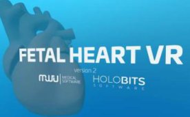 Fetal Heart VR Oculus Meta Quest all-in-one Education game