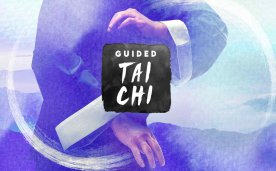 Guided Tai Chi VR Oculus Meta Quest all-in-one sports game