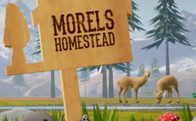 Morels Homestead VR Oculus Meta Quest fighting game