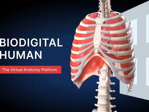 The BioDigital Human VR Oculus Meta Quest all-in-one education game<span class="mi-jiaobiao" style="background-color: #520021;">Simulation Free</span>