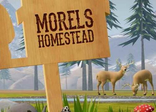 Morels Homestead VR Oculus Meta Quest fighting game<span class="mi-jiaobiao" style="background-color: #041d81;">Fighting Free</span>
