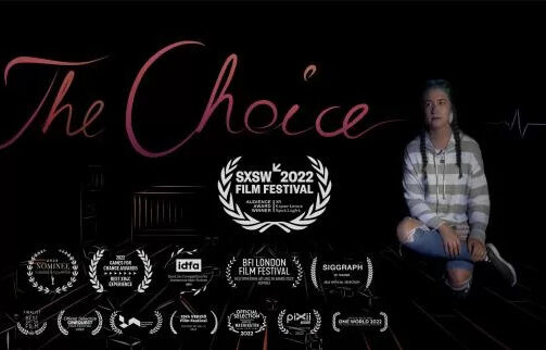 The Choice VR Oculus Meta Quest story game<span class="mi-jiaobiao" style="background-color: #006b07;">Story Free</span>