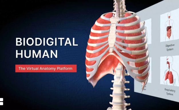 The BioDigital Human VR Oculus Meta Quest all-in-one education game<span class="mi-jiaobiao" style="background-color: #520021;">Simulation Free</span>