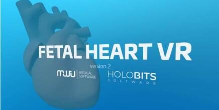 Fetal Heart VR Oculus Meta Quest all-in-one Education game<span class="mi-jiaobiao" style="background-color: #717203;">Simulation</span>