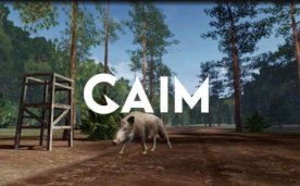 GAIM VR Oculus Meta Quest shooting game