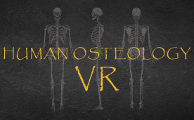 Human Anatomy VR Oculus Meta Quest education game