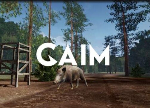 GAIM VR Oculus Meta Quest shooting game<span class="mi-jiaobiao" style="background-color: #940000;">Action Free</span>