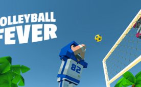 Volleyball Fever Oculus Meta Quest VR Game