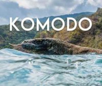 Komodo A Paradise Under Pressure Quest VR Games<span class="mi-jiaobiao" style="background-color: #d71414;">Landscape</span>