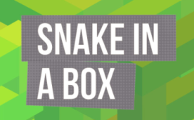 Snake In a Box Quest VR Games