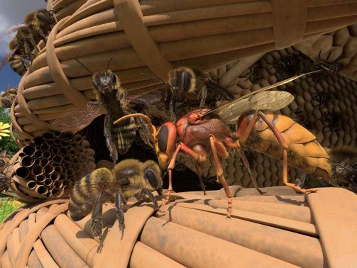Honeybee VR Quest Game<span class="mi-jiaobiao" style="background-color: #da0707;">Simulation Free</span>