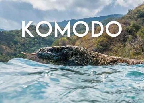Komodo A Paradise Under Pressure Quest VR Games<span class="mi-jiaobiao" style="background-color: #d71414;">Landscape</span>