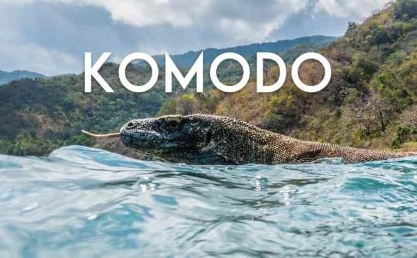Komodo A Paradise Under Pressure Quest VR Games<span class="mi-jiaobiao" style="background-color: #d71414;">Landscape</span>