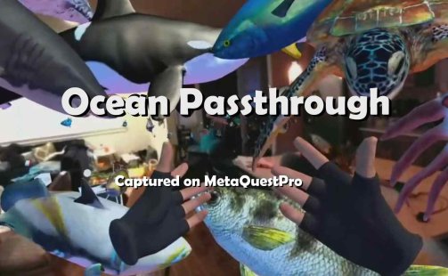 Ocean Passthrough VR Quest Games<span class="mi-jiaobiao" style="background-color: #ea0b0b;">Mixed-Reality</span>