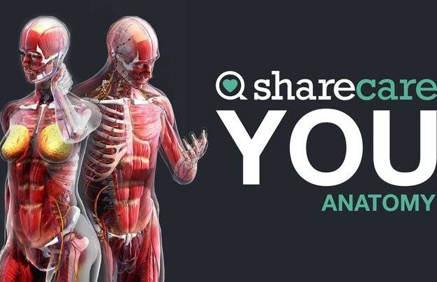 Sharecare YOU Anatomy Oculus Meta Quest VR Games<span class="mi-jiaobiao" style="background-color: #df0c0c;">Medical Education</span>