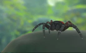 10k Science Oculus Meta Quest VR Games