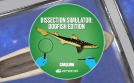 Dissection Simulator- Shark Edition Oculus Meta Quest VR Game
