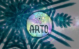 Arto Oculus Meta Quest VR Game