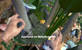 Jungle Passthrough Oculus Meta Quest VR Game