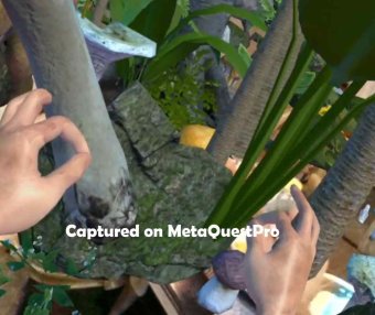 Jungle Passthrough Oculus Meta Quest VR Game<span class="mi-jiaobiao" style="background-color: #df0707;">Dinosaur VIP</span>