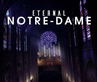 Eternal Notre – Dame Oculus Meta Quest VR Game<span class="mi-jiaobiao" style="background-color: #eb0505;">History VIP</span>