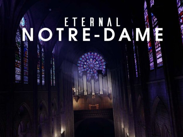 Eternal Notre – Dame Oculus Meta Quest VR Game<span class="mi-jiaobiao" style="background-color: #eb0505;">History VIP</span>