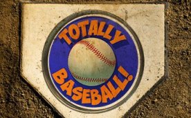 Totally Baseball Oculus Meta Quest VR Game