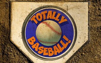 Totally Baseball Oculus Meta Quest VR Game<span class="mi-jiaobiao" style="background-color: #f20202;">Baseball Points</span>