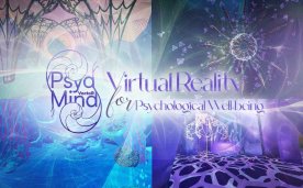 VoctoR PsydMind Oculus Meta Quest VR Game