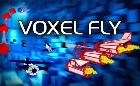 Voxel Fly Oculus Meta Quest VR Game