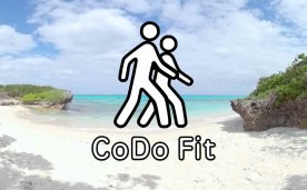 CoDo Fit Oculus Meta Quest VR Game