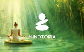 Mindtopia VR Oculus Meta Quest Game