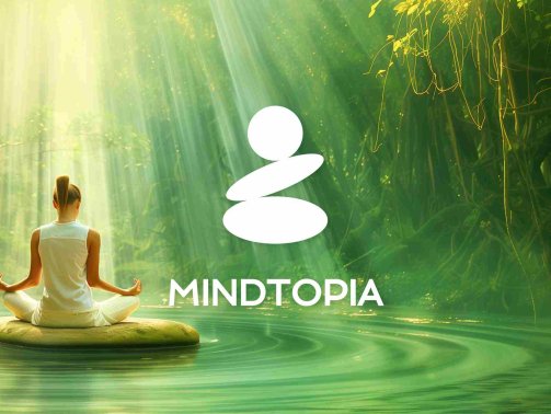 Mindtopia VR Oculus Meta Quest Game<span class="mi-jiaobiao" style="background-color: #f50000;">Medication VIP</span>