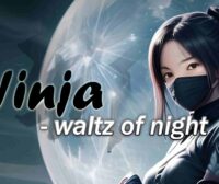 Ninja – Waltz of Night Oculus Meta Quest VR Game<span class="mi-jiaobiao" style="background-color: #ff0000;">Fighting VIP</span>