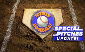 Totally Baseball Oculus Meta Quest VR Game