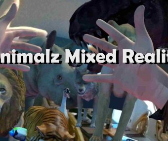 Animalz Mixed Reality Oculus Meta Quest VR Game<span class="mi-jiaobiao" style="background-color: #f40606;">Mixed Reality VIP</span>