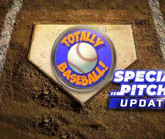 Totally Baseball Oculus Meta Quest VR Game<span class="mi-jiaobiao" style="background-color: #eb0000;">Sports Points</span>