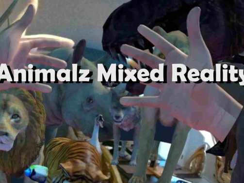 Animalz Mixed Reality Oculus Meta Quest VR Game<span class="mi-jiaobiao" style="background-color: #f40606;">Mixed Reality VIP</span>