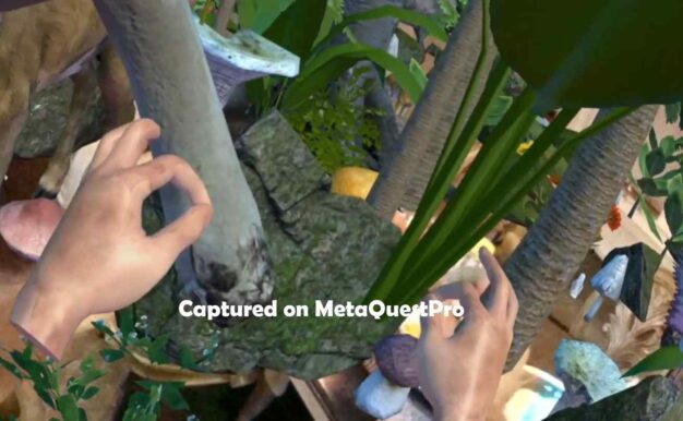 Jungle Passthrough Oculus Meta Quest VR Game<span class="mi-jiaobiao" style="background-color: #fb0909;">Dinosaur VIP</span>