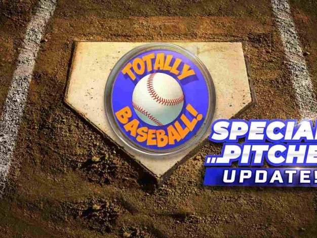 Totally Baseball Oculus Meta Quest VR Game<span class="mi-jiaobiao" style="background-color: #eb0000;">Sports Points</span>