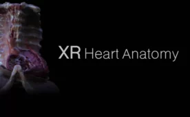 XR Heart Anatomy Oculus Meta Quest VR Game