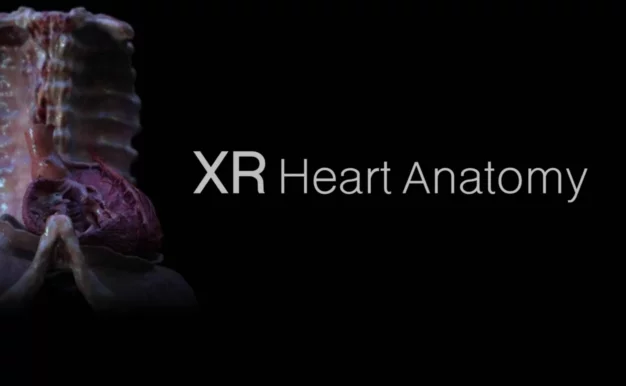 XR Heart Anatomy Oculus Meta Quest VR Game<span class="mi-jiaobiao" style="background-color: #f50a0a;">Education VIP</span>
