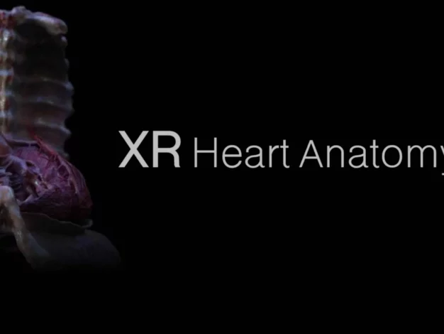 XR Heart Anatomy Oculus Meta Quest VR Game<span class="mi-jiaobiao" style="background-color: #f50a0a;">Education VIP</span>