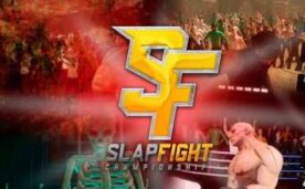 SlapFIGHT CHAMPIONSHIP VR Oculus Meta Quest VR Game<span class="mi-jiaobiao" style="background-color: #ff0000;">Fighting VIP</span>